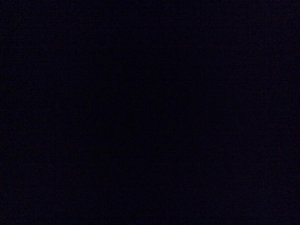 IMG_8415.jpg