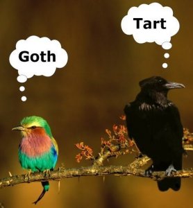 bird (1).jpg