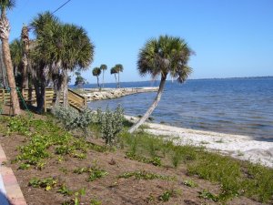 IMG_0160.JPG