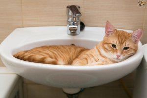 sink.jpg