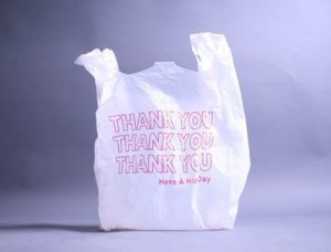 bag.jpg