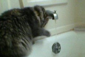 water.jpeg