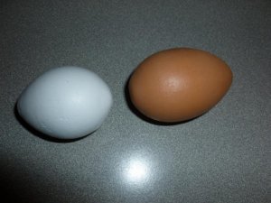 eggs (800x600) (2).jpg
