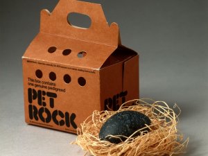 pet.jpg