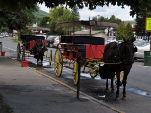 IMG_4042.JPG