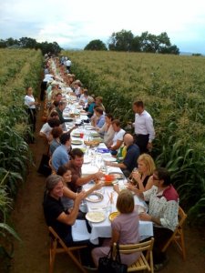 llm-farmdinner.jpg