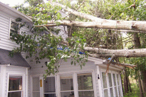 Hurricane Ivan 9-16-04.gif
