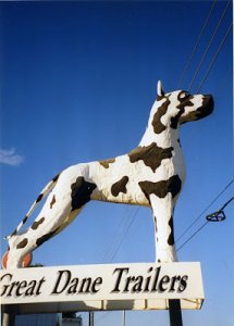 great dane.jpg