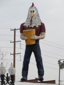 chicken boy.jpg