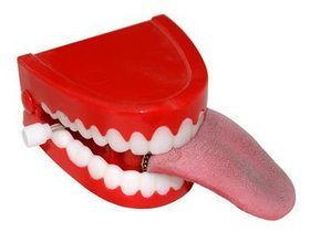 bite.jpg
