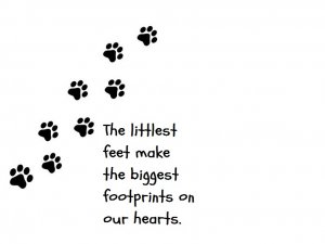 prints1.jpg