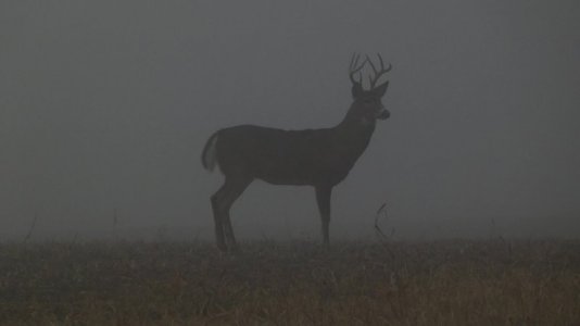 IMG_1859.jpeg