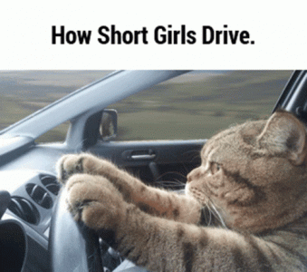 how-short-girls-drive-short-girls.gif