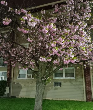 20230419_034338.jpg