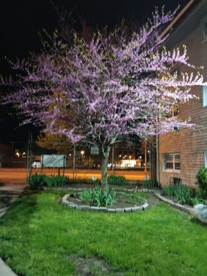 20230419_034501.jpg