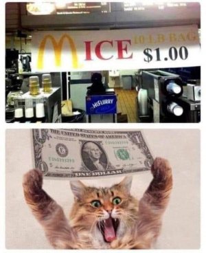 IMG_2562.jpeg