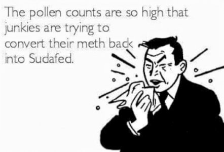 FB_IMG_1682992183886.jpg