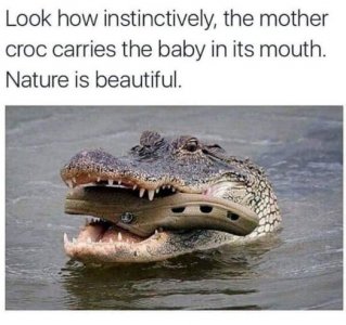 FB_IMG_1682648058986.jpg
