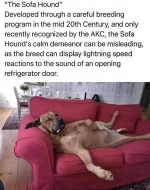 IMG_2487.jpeg