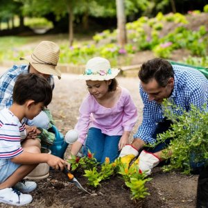 Gardening_with_Family_9eced38f-b650-4b68-80e3-6ad9826cf1d0_800x800.jpg