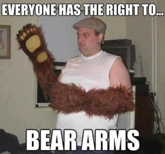Bear Arms.JPG