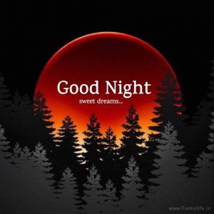 good-night-image-from-funkylife-329.jpg