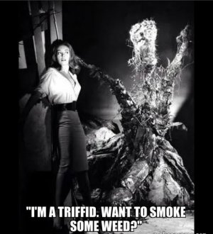 triffid63.JPG