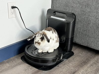 vacuum.jpg