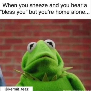 IMG_2090.jpeg