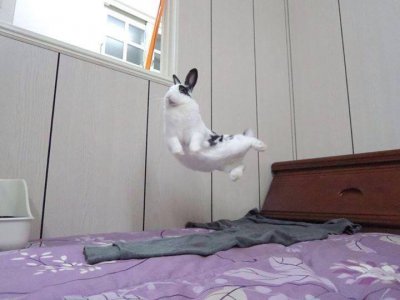 flying.jpg