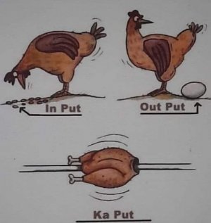 Chicken1.jpg