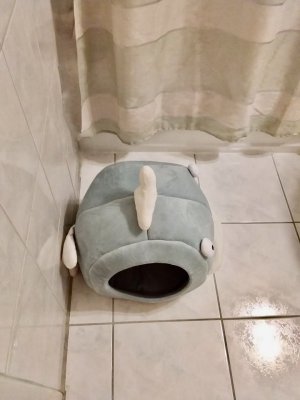 20230504_222136.jpeg