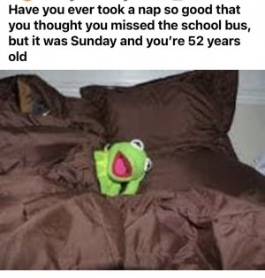 IMG_2092.jpeg