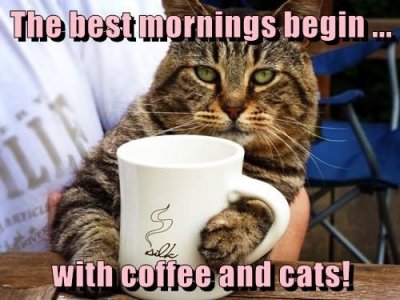 833289821a44447291a9e47ae0ba1448--coffee-humor-coffee-coffee.jpg