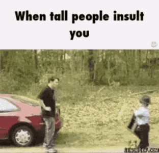 slap-tall.gif
