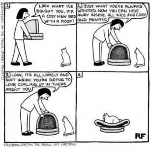 IMG_0420.jpeg