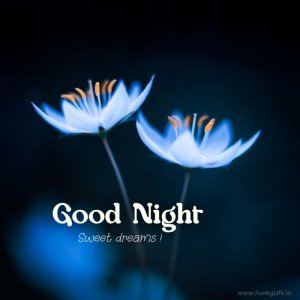 good-night-image-funkylife-286-2.jpg