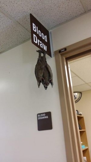 IMG_1848.jpeg