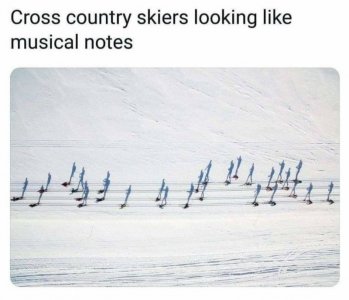 119663296_1011767132666562_2254611541702880296_n.jpg