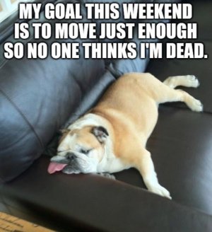 IMG_2630.jpeg