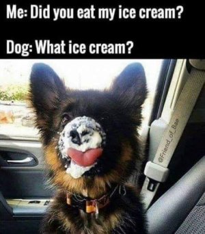IMG_2618.jpeg