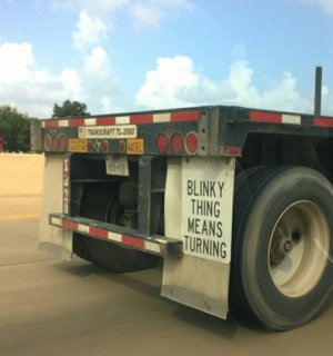 blinkything.jpg