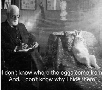 theeggs.jpg