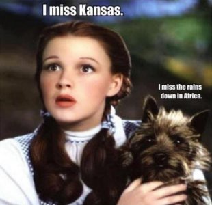 oz3.JPG