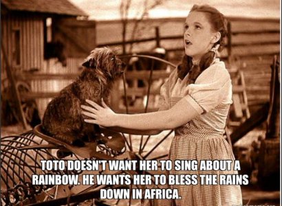 toto.JPG