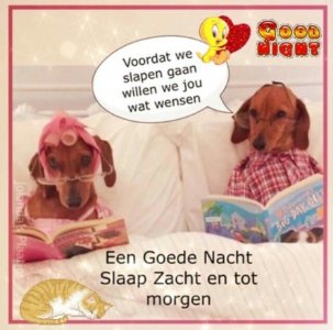 05A1FAC4-0160-4223-8C71-7CC4B6FFEF7B.jpeg