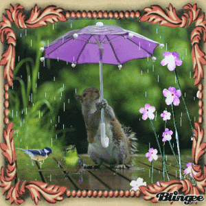F3F1B5CB-C78A-40DB-A4E3-CBC380ED5E96.gif