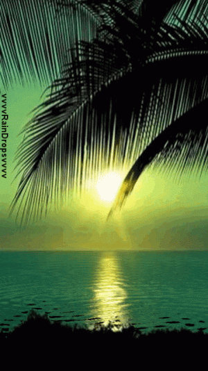 2f5d668f4562d2ce6e33fe010cf98047.gif
