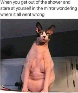 ohmy.jpg