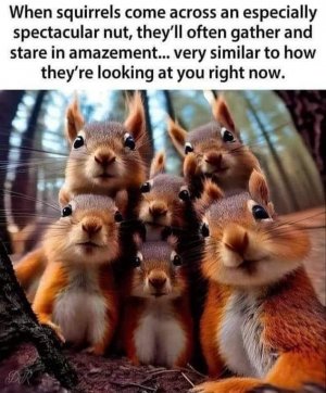 IMG_2653.jpeg